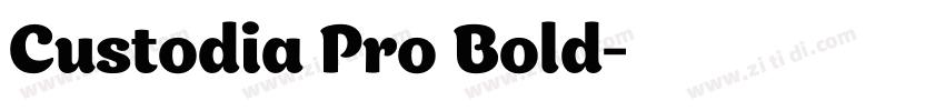 Custodia Pro Bold字体转换